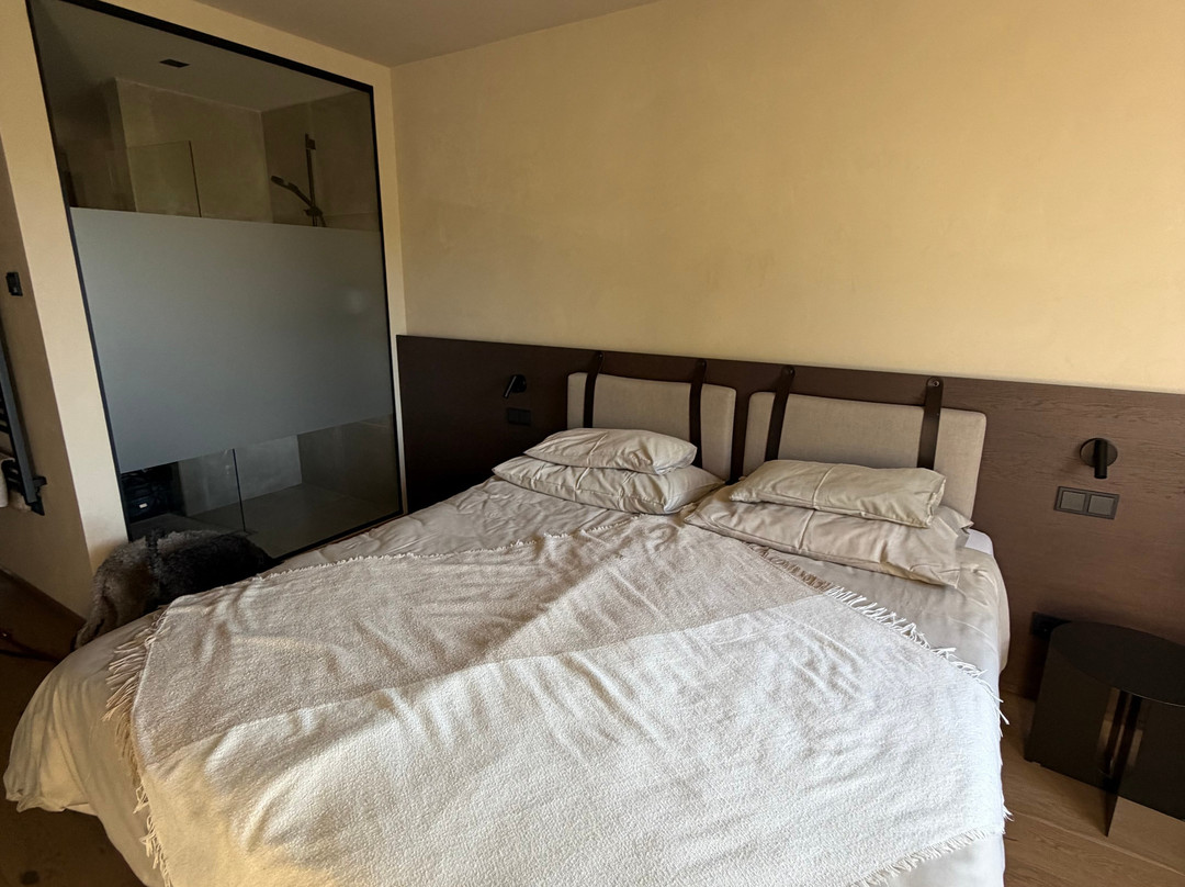 Boutiquehotel DAS ZEITWERT精品酒店主图