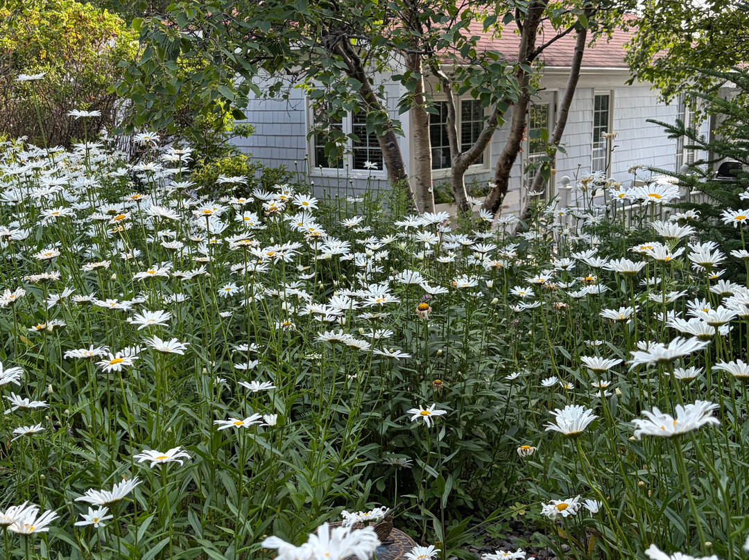 Abbie's Garden Bed & Breakfast主图