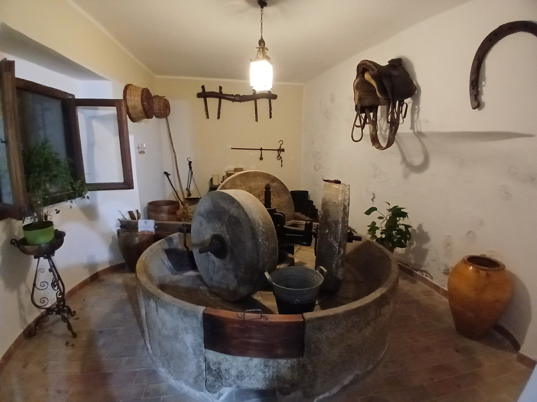 Amoreolio Museo dell'olio di Colobraro-Colobraro必去景点