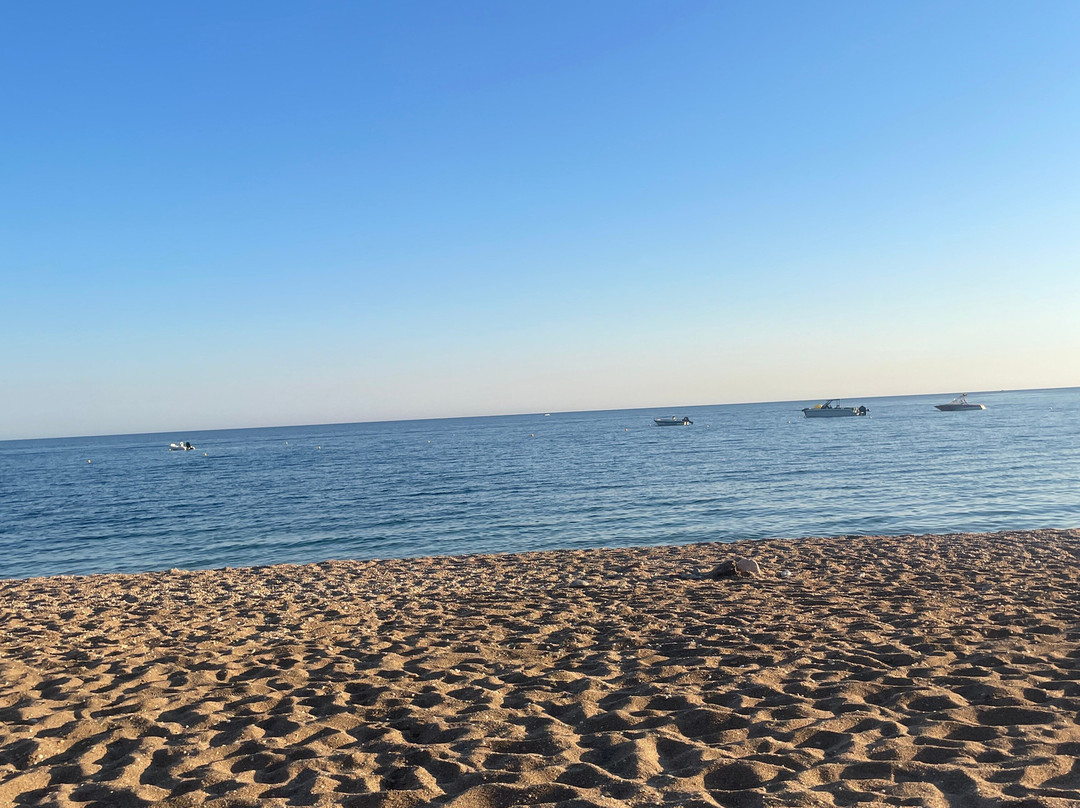 Loco Beach Bar Firiplaka
