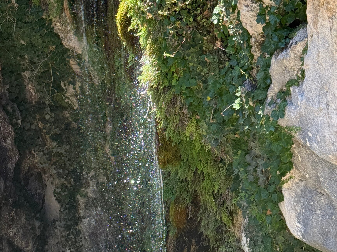 Cascades du Saut du Loup-Courmes必去景点