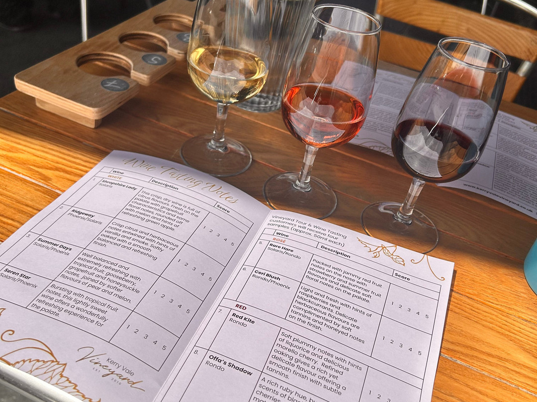 Kerry Vale Vineyard-Church Stoke必去景点