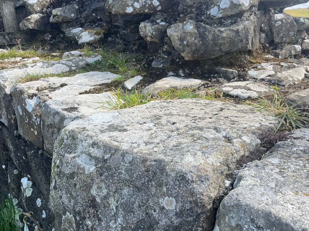Peter Carney: Hadrian's Wall Guide-Henshaw必去景点
