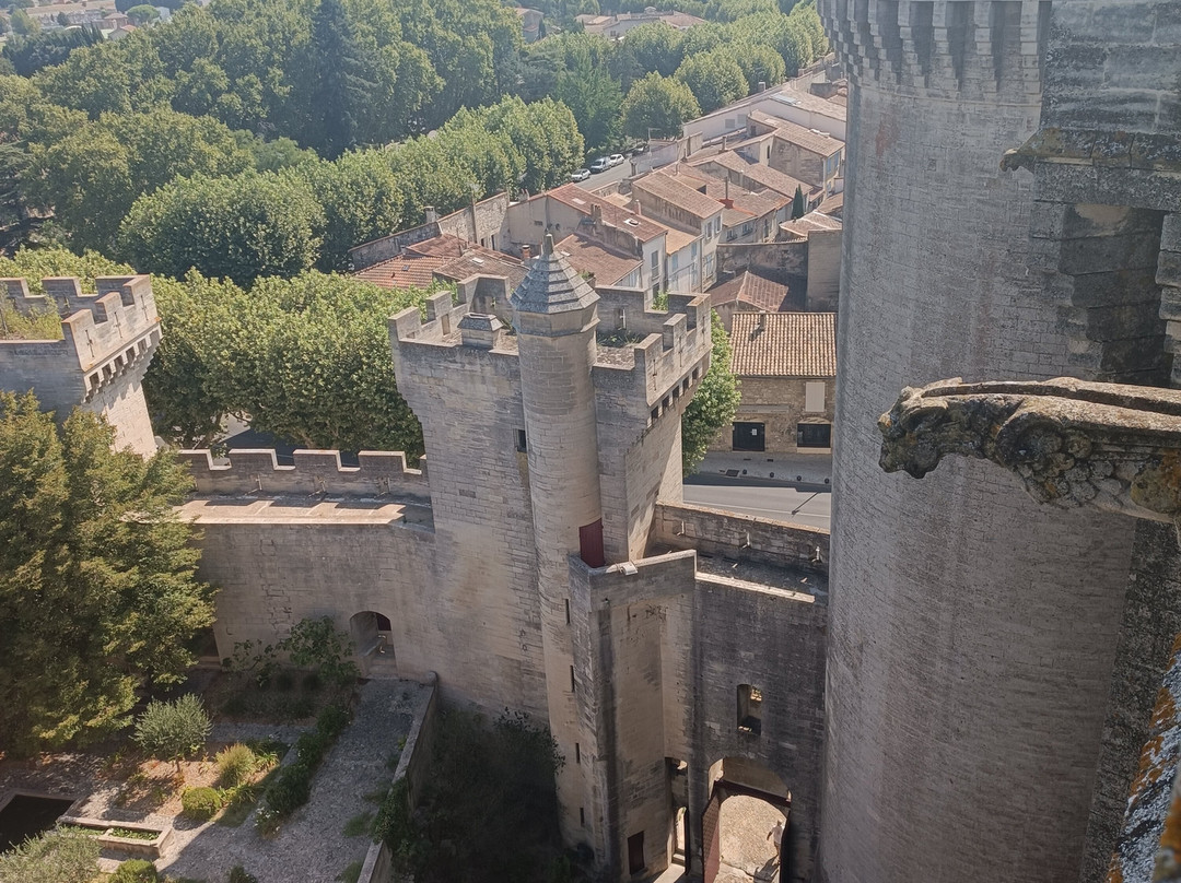 Chateau de Tarascon-塔拉斯孔必去景点