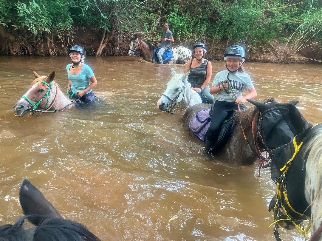Aventure cheval. Randonnées à cheval-La Crau必去景点