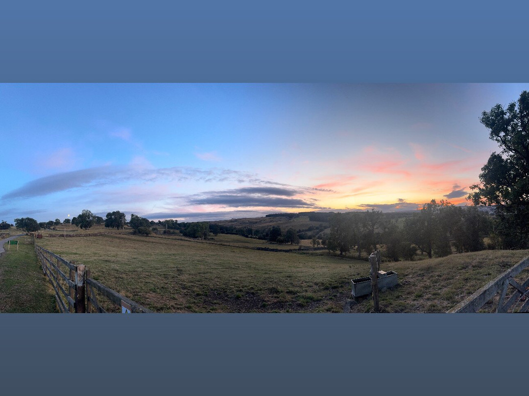 Farm Adventure Yorkshire-马沙姆必去景点