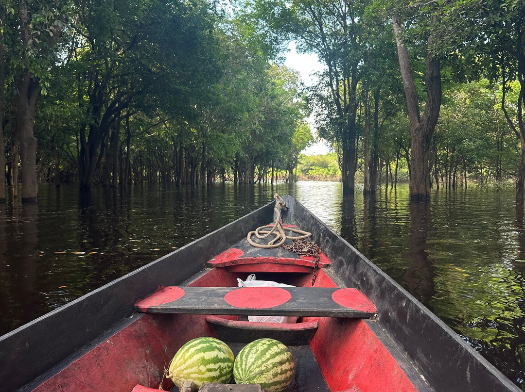 Amazon Rambo Jungle Tours-玛瑙斯必去景点