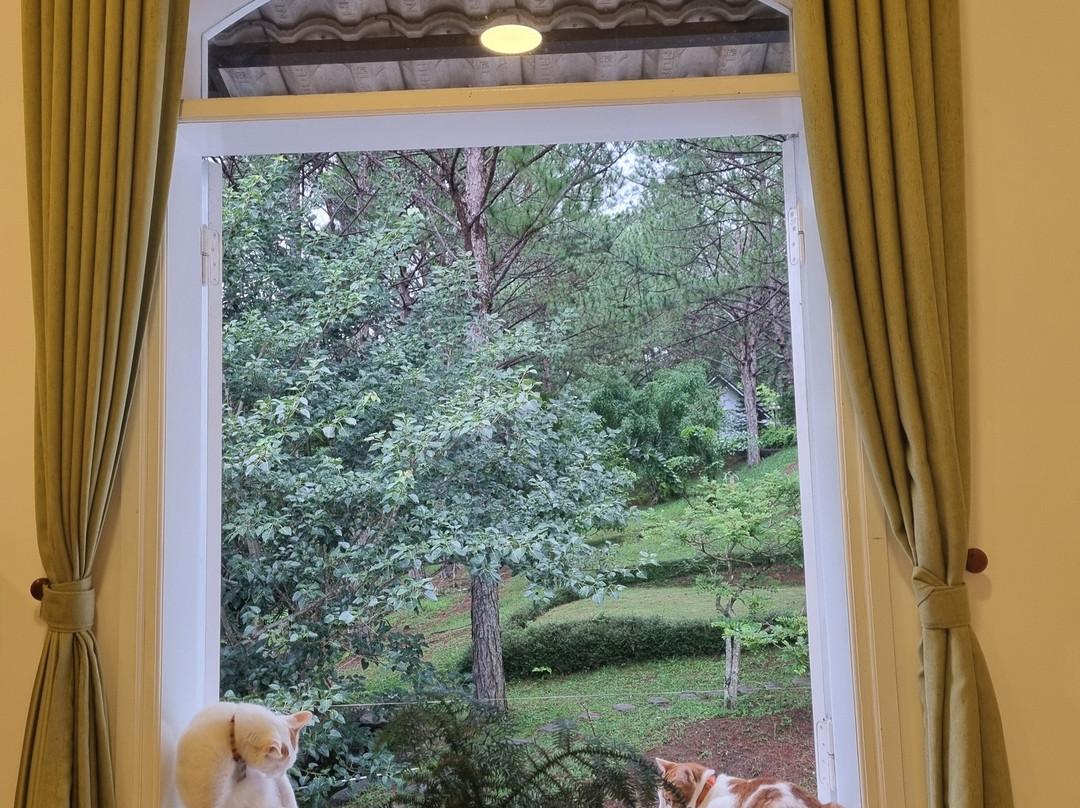 Sivananda Yoga Resort And Training Center-大勒必去景点