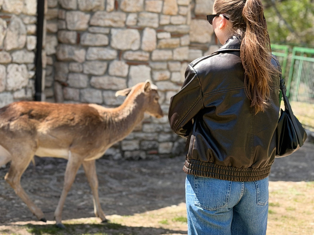 Deer Park Of Agios Panteleimon Agios Dimitrios Kozani