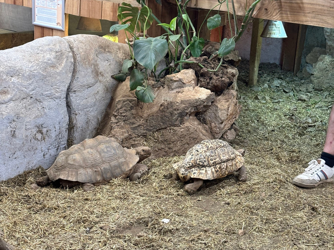 Padiparc - Parc Zoologique-Padirac必去景点