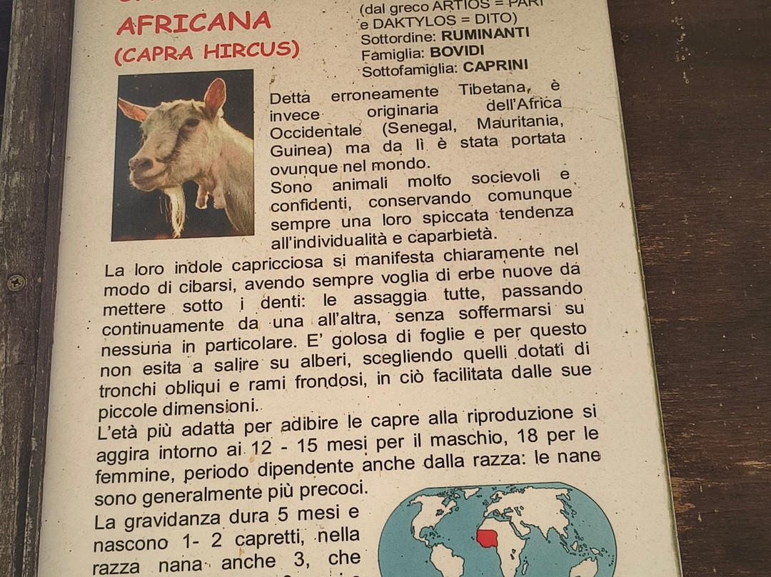 Città Della Domenica-佩鲁贾必去景点