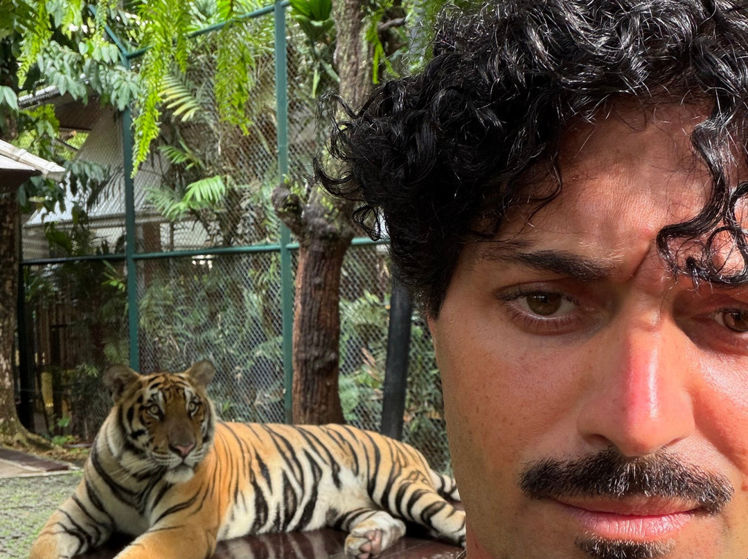 Tiger PARK Phuket-查龙必去景点