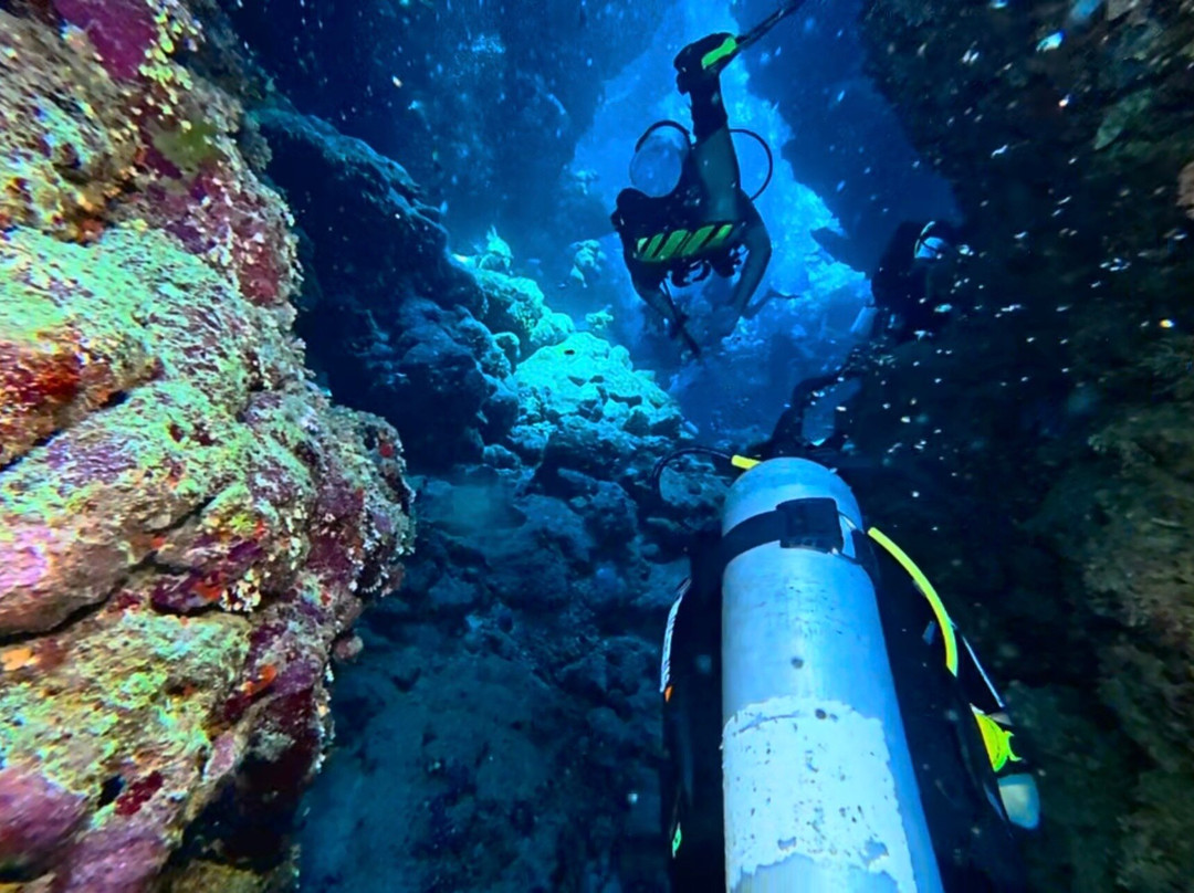 ORCA Dive Club Wadi Lahmy-马萨阿拉姆必去景点