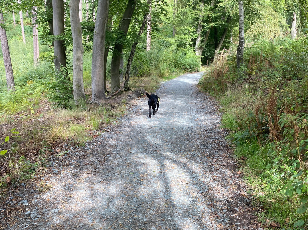 Delamere Forest-Delamere必去景点