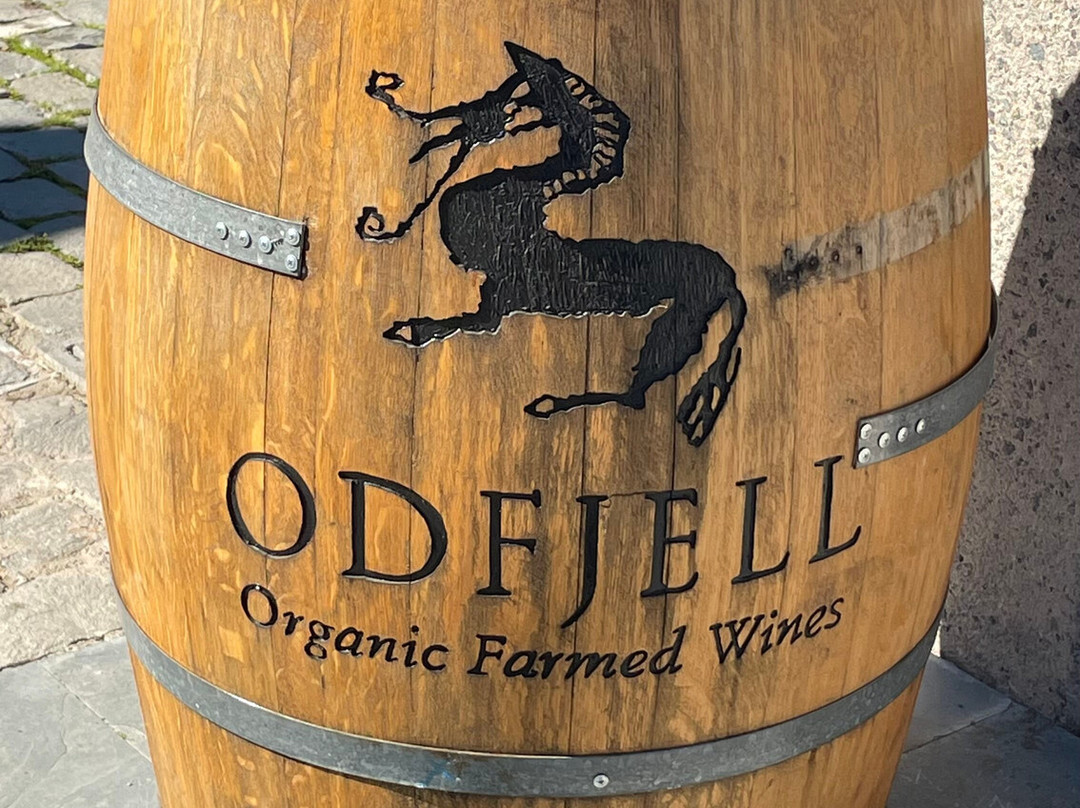 Odfjell Vineyards-Padre Hurtado必去景点