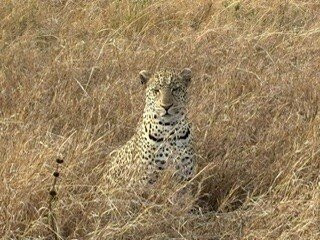 Odyssey Safaris-南由基必去景点