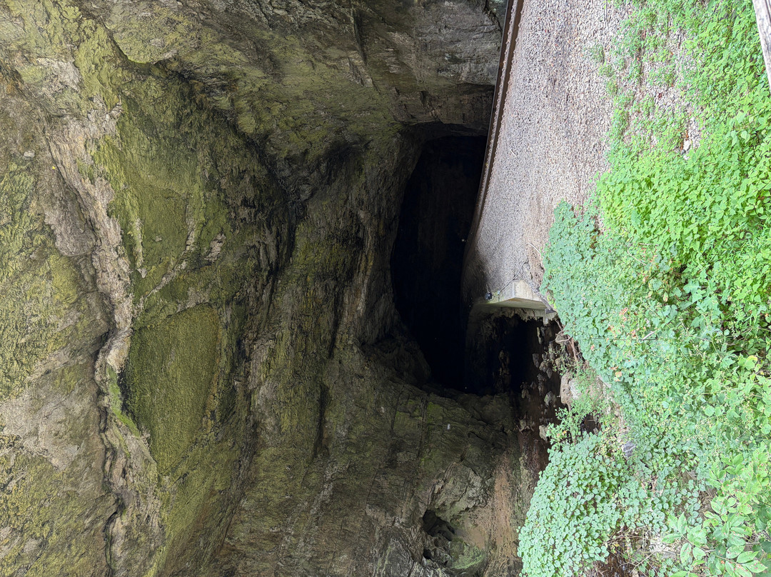 Natural Tunnel State Park-Duffield必去景点
