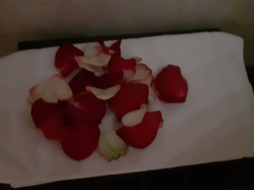 塔林库特兹瓦尔德酒店主图