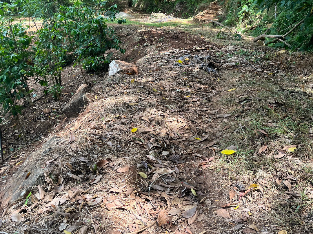 National Spice Garden of Sri Lanka-Matale必去景点