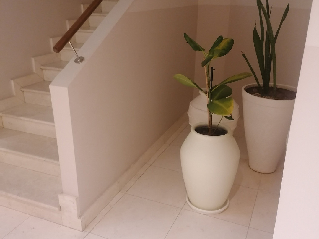 西法威精品酒店主图