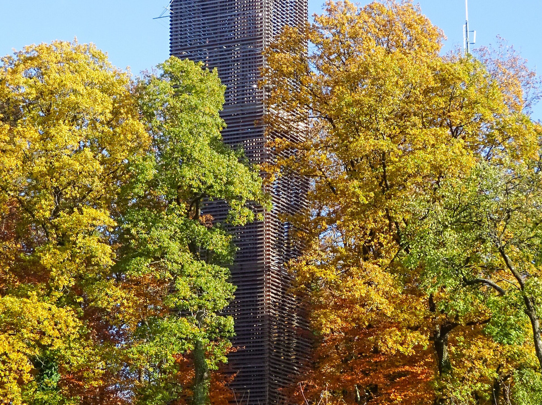 Napoleonturm Hohenrain-Waldi必去景点