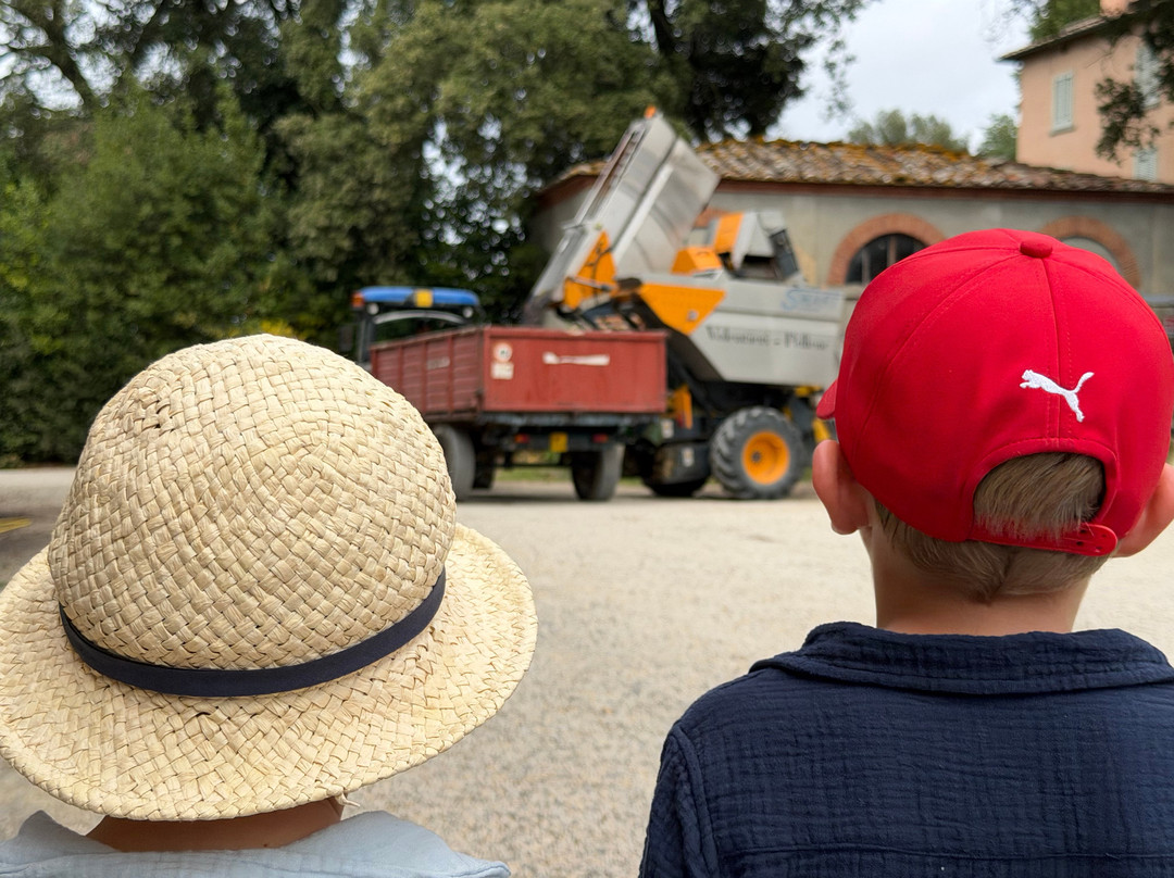 Fattoria Santa Vittoria-Foiano della Chiana必去景点