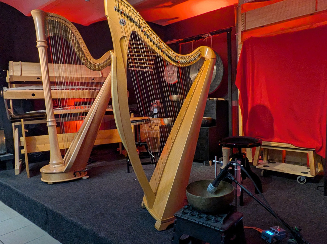 Luc Vanlaere Harpist - Harp Museum-布鲁日必去景点