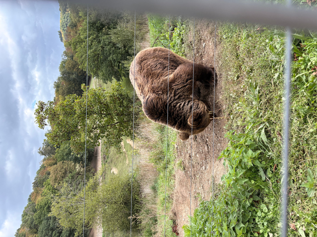 Wild- und Freizeitpark Westerwald-Gackenbach必去景点