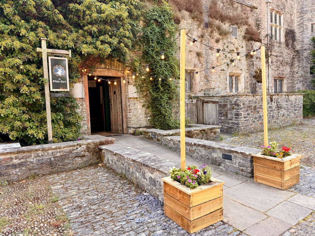 The White Hart Devon