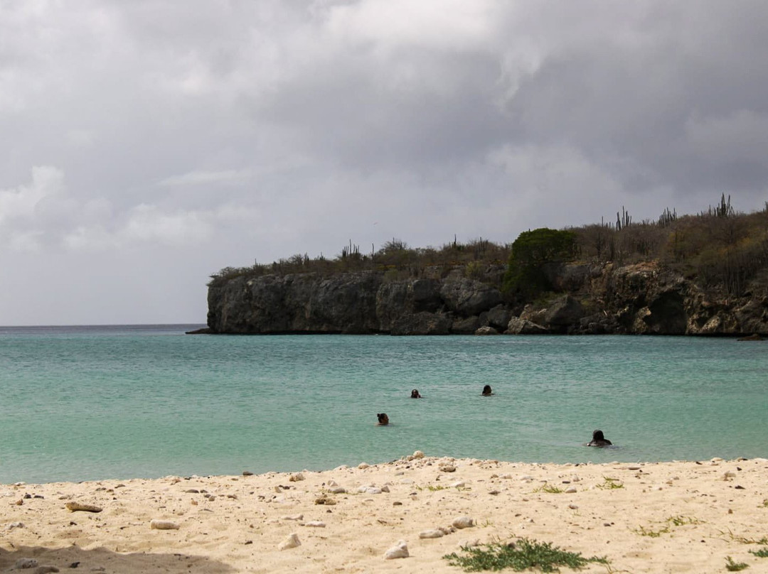 Playa Santa Cruz-威廉斯塔德必去景点