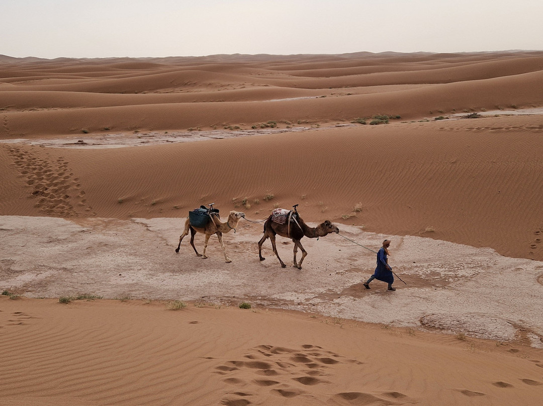 Via Morocco Tours-卡萨布兰卡必去景点