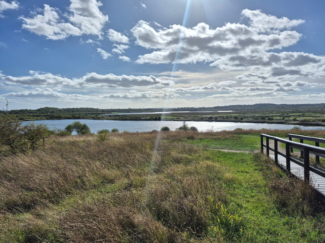 RSPB St Aidan's nature park-利兹必去景点