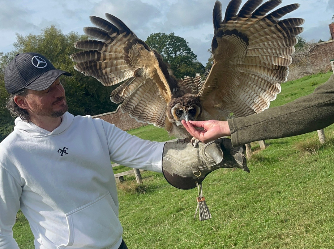 UK Owl And Raptor Centre-Groombridge必去景点