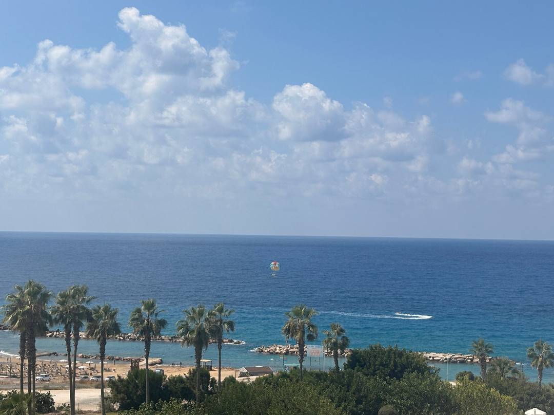 莱昂纳多劳拉海滩度假村主图