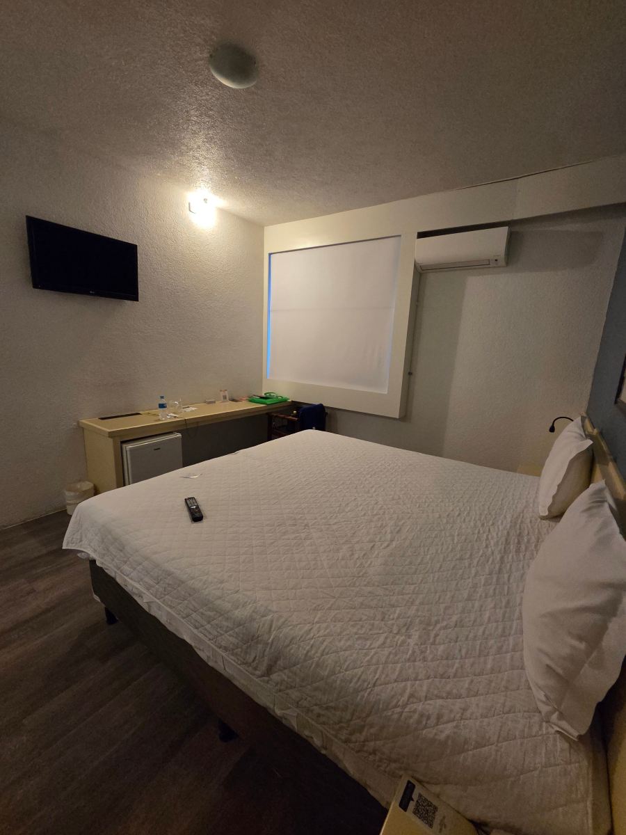 本托贡萨尔维斯达隆德大酒店-旅行者