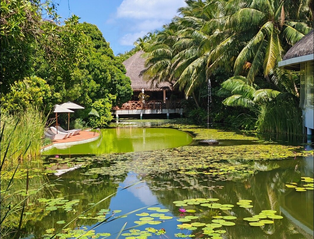 Dreamland The Unique Sea & Lake Resort / Spa主图
