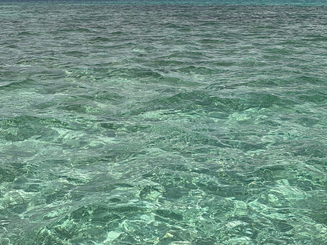 Apollon Cruise-Palmar必去景点