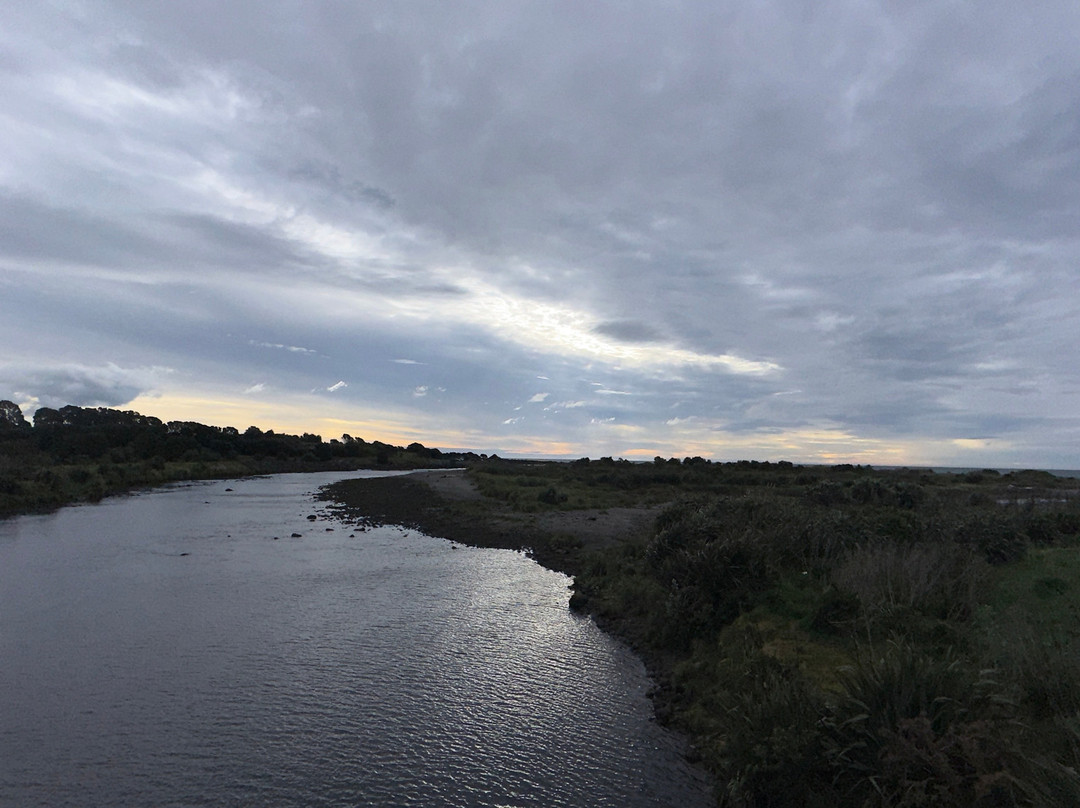 Te Rewa Rewa Bridge-新普利默斯必去景点