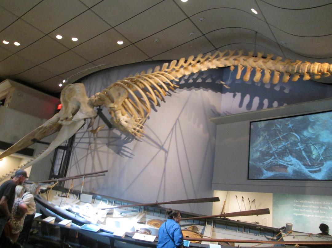 Whaling Museum-楠塔基特必去景点