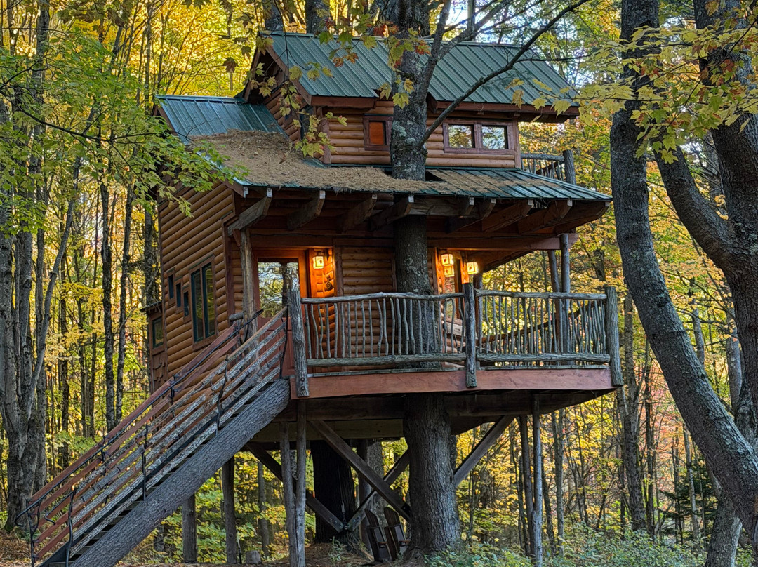 Moose Meadow Lodge & Treehouse主图