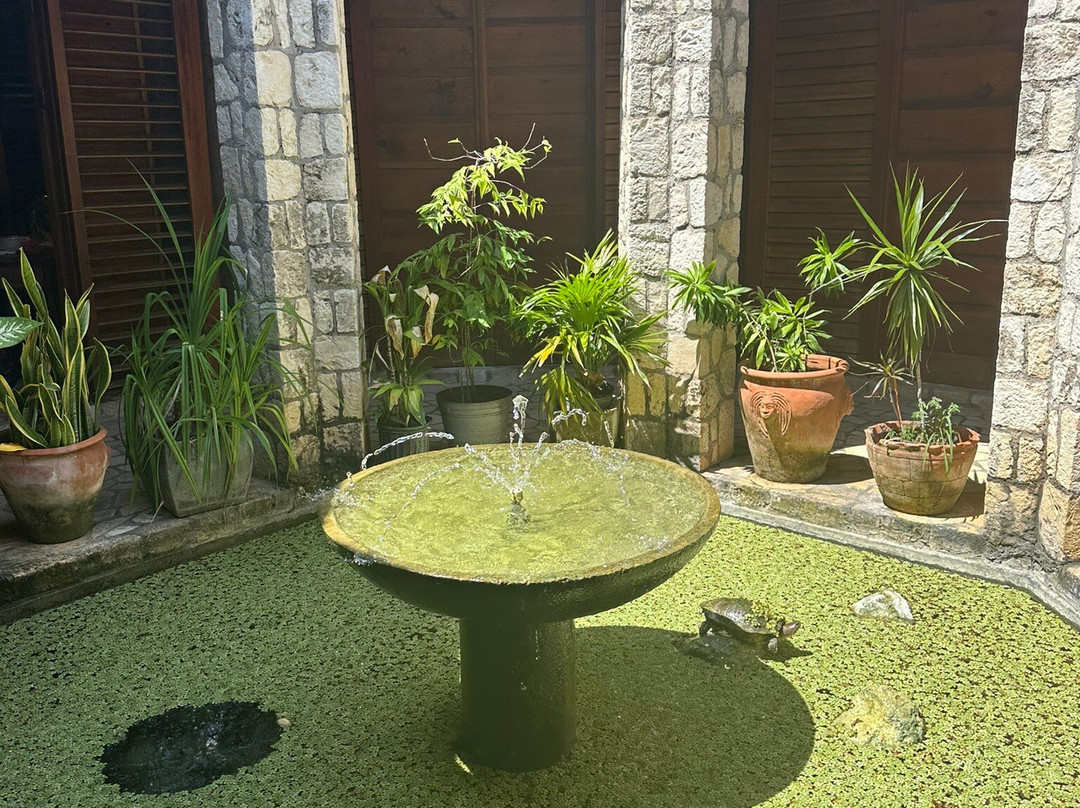 Rockhouse Spa-内格里尔必去景点