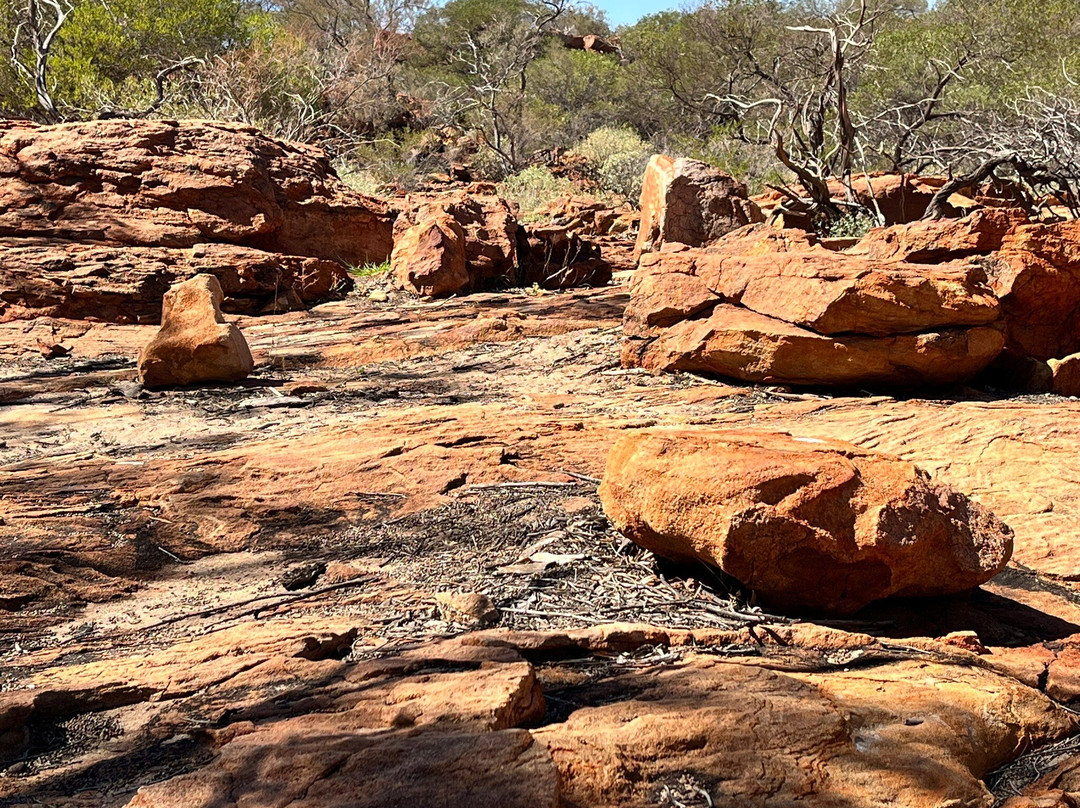 Casey Australia Tours-珀斯必去景点