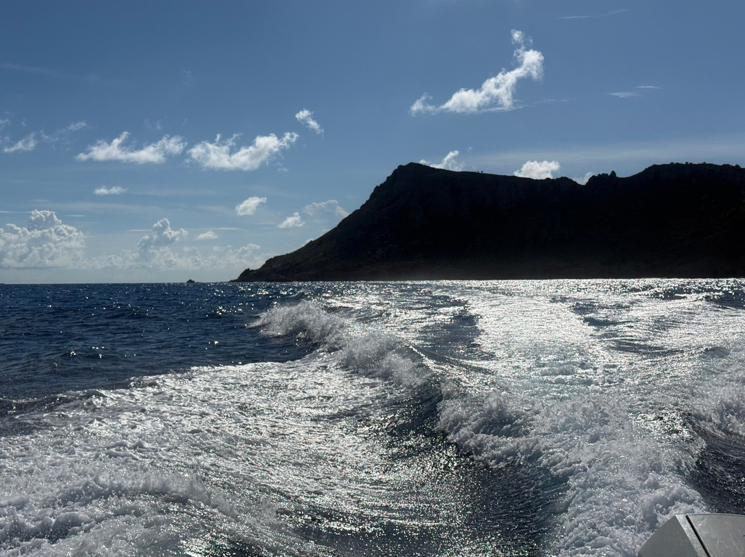 Captain Alan's Boat Charters-Oyster Pond必去景点