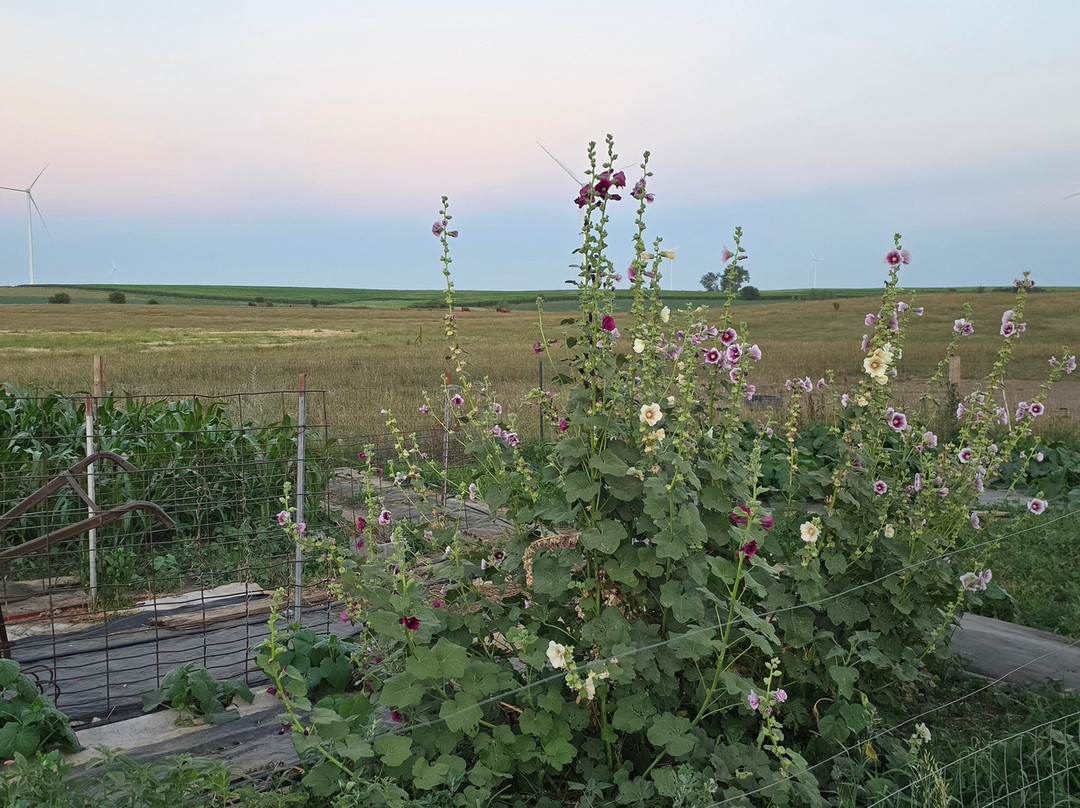 Choteau Creek Brewing Company