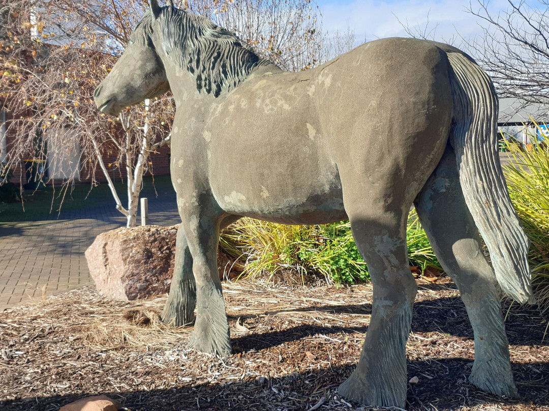 Clydesdale Memorial-Maitland必去景点