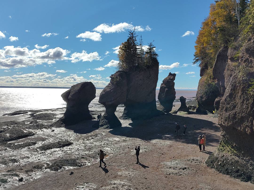 Hopewell Rocks-霍伯威尔角必去景点