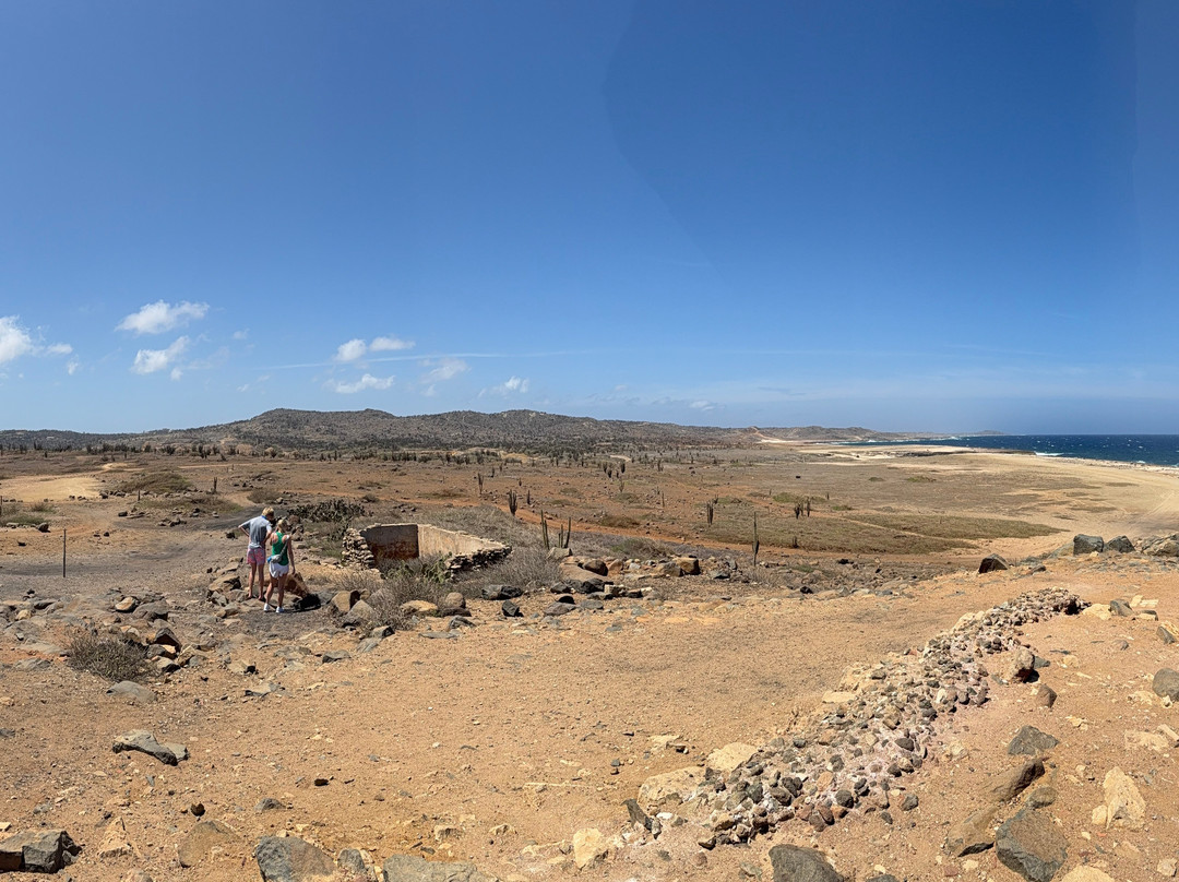 ABC Tours Aruba-奥腊涅斯塔德必去景点
