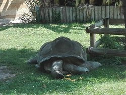 Jardin de la Ménagerie-索城必去景点