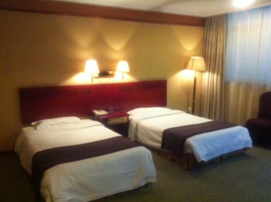 紫荆花君悦国际大酒店-客卧