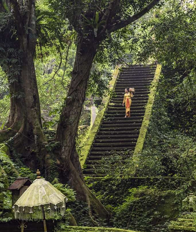 阿曼达里酒店主图